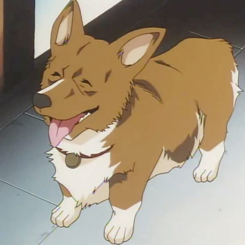 anime dogs (@anime_dogs) / X